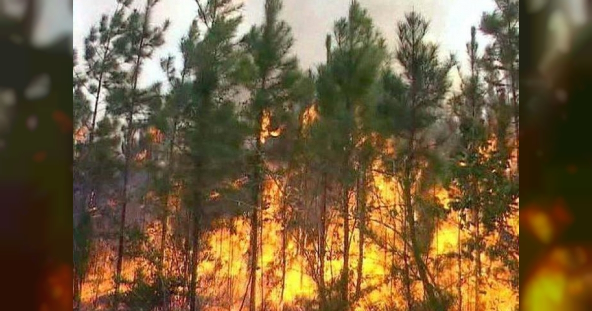 Incendio forestal en Pinar del Río. © Tele Pinar