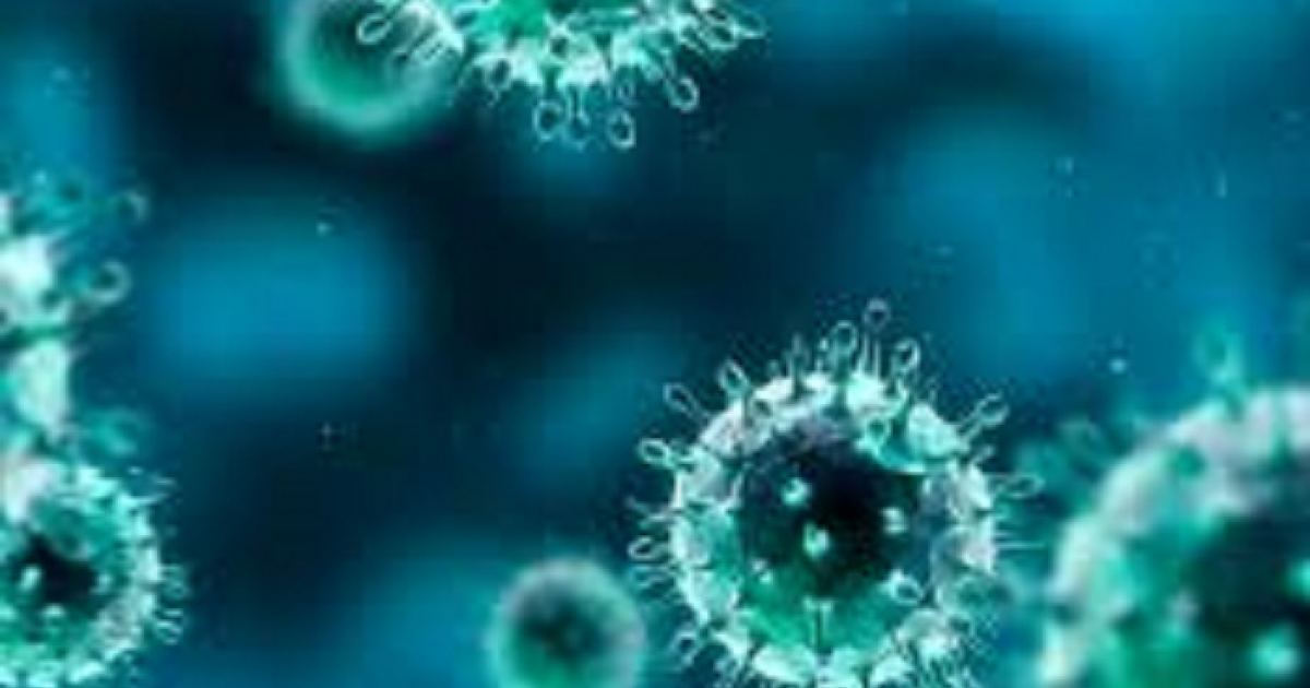 Virus de Influenza © Imagen: Labnova.mx