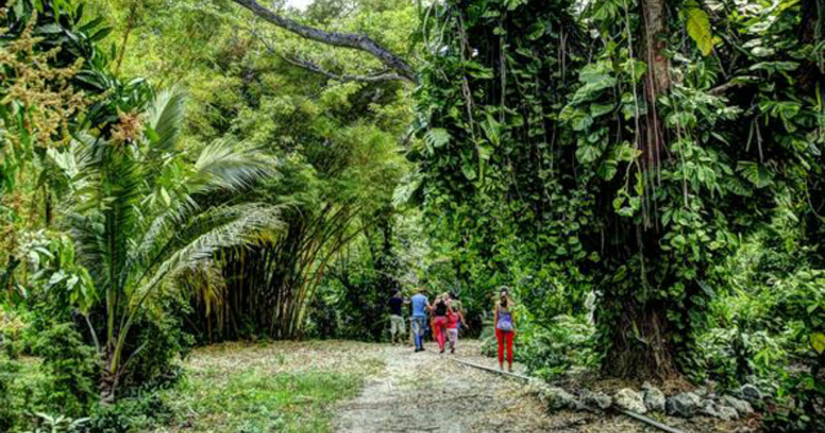 Jardín Botánico de Holguín © Ahora