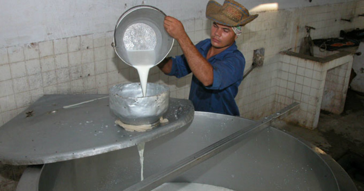 Producción de leche en Granma © La Demajagua