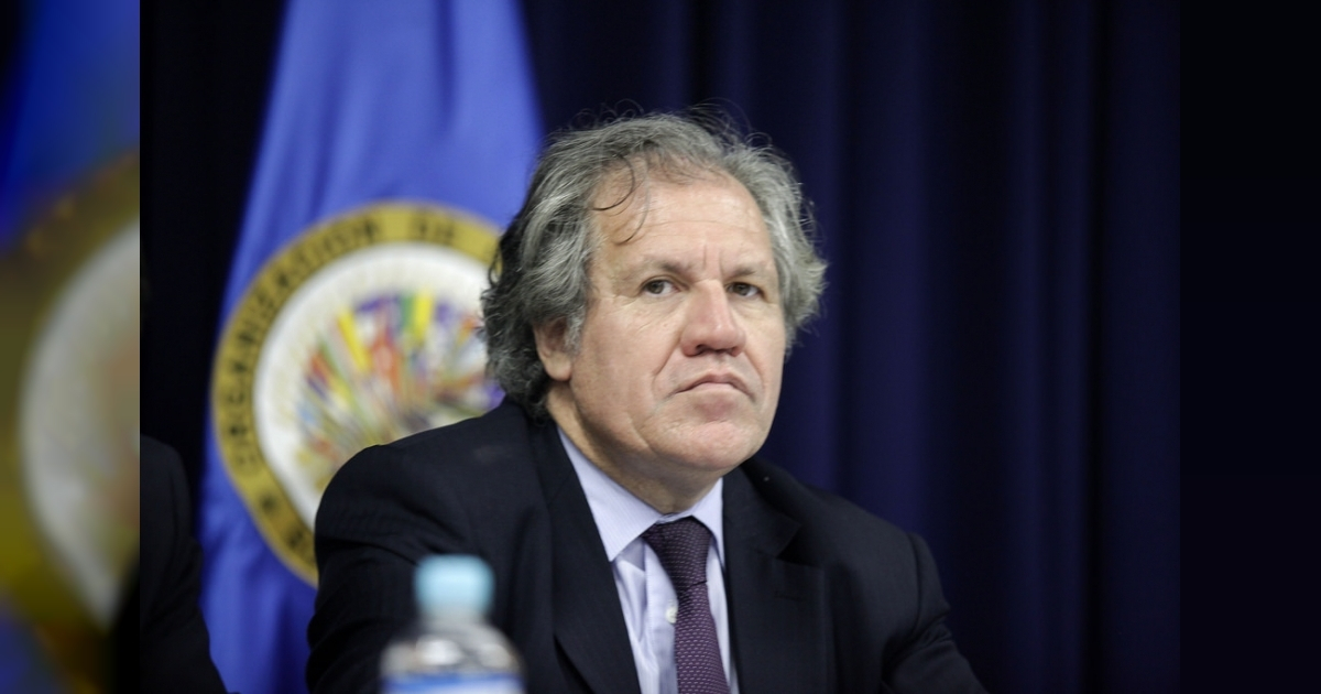 Luis Almagro, secretario general de la Organización de Estados Americanos (OEA) © Flickr