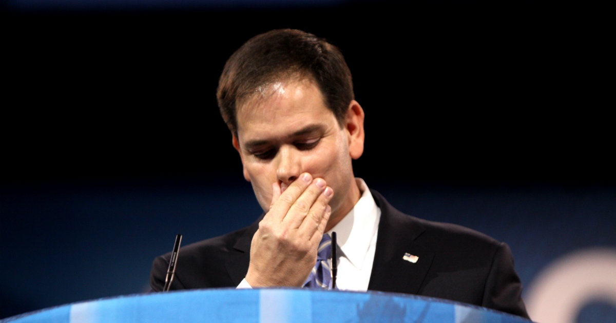 El senador cubanoamericano Marco Rubio emocionado en un discurso © Flickr / Gage Skidmore