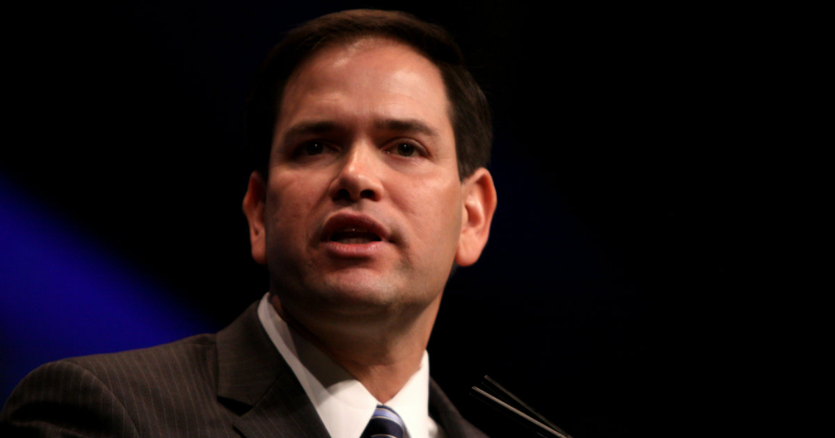 Senador cubanoamericano Marco Rubio © Flickr/Gage Skidmore