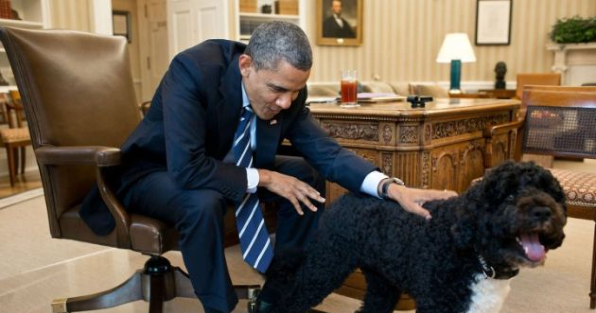 Obama y su perro Sunny © Pete Souza / The White House