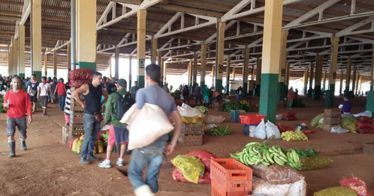 Mercado mayorista de productos del campo en Cuba © Cubadebate / Darío Alejandro Alemán