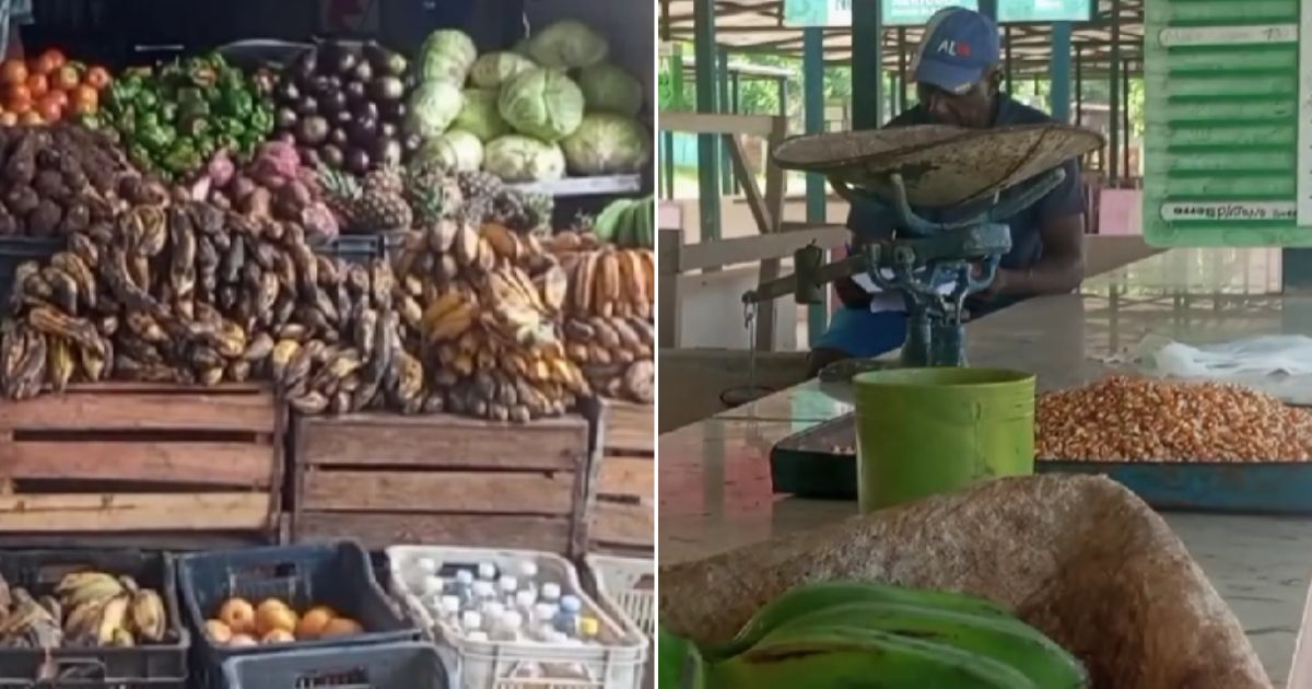 Realidad en Santiago de Cuba: mercados vacíos y precios desorbitados en el sector privado