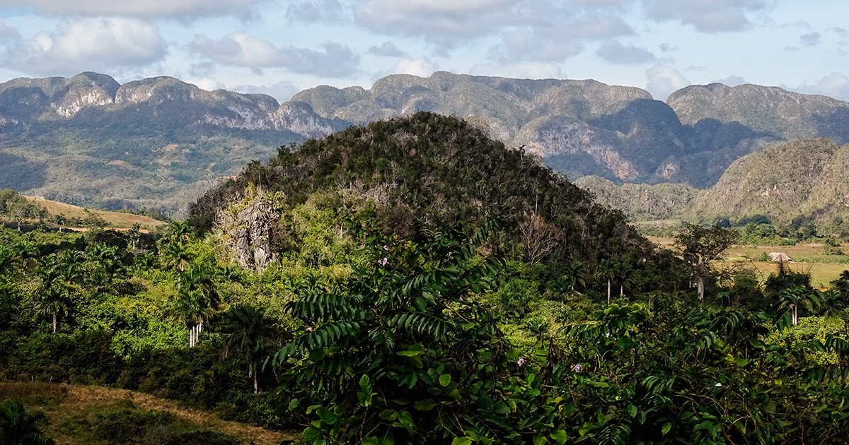 CiberCuba