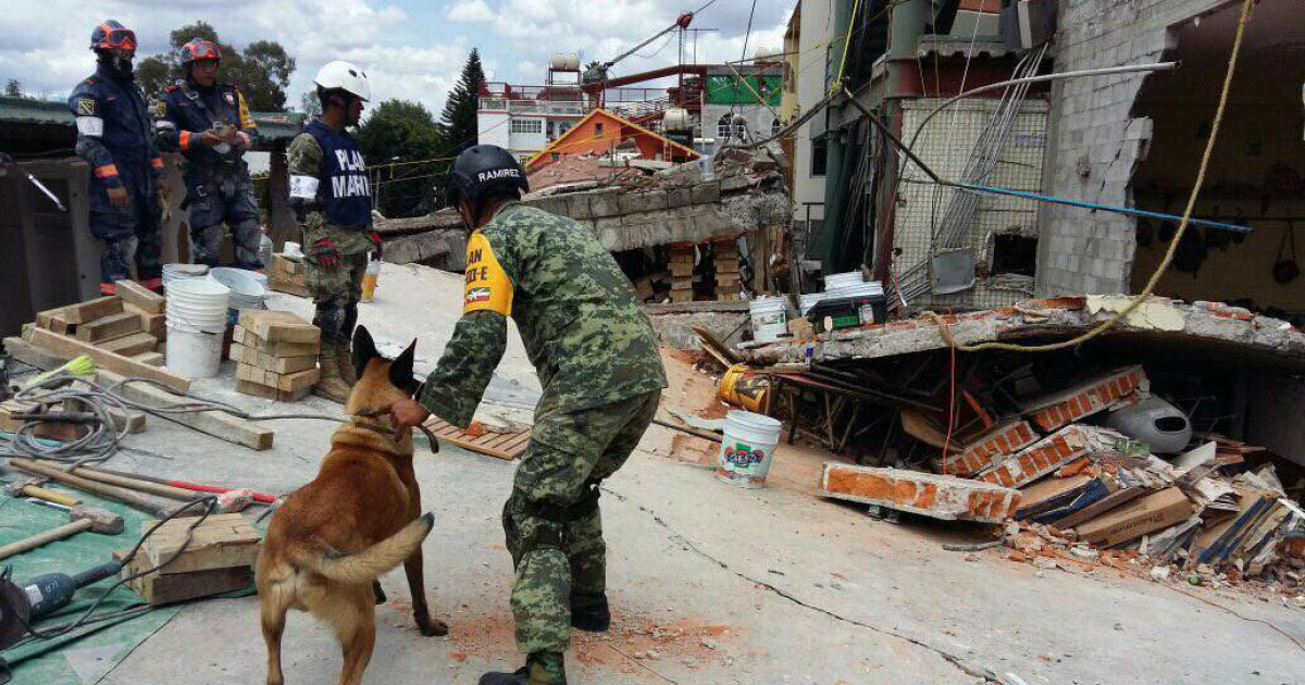 Autoridades buscando personas atrapadas en México tras el terremoto © Twitter / @gobmx