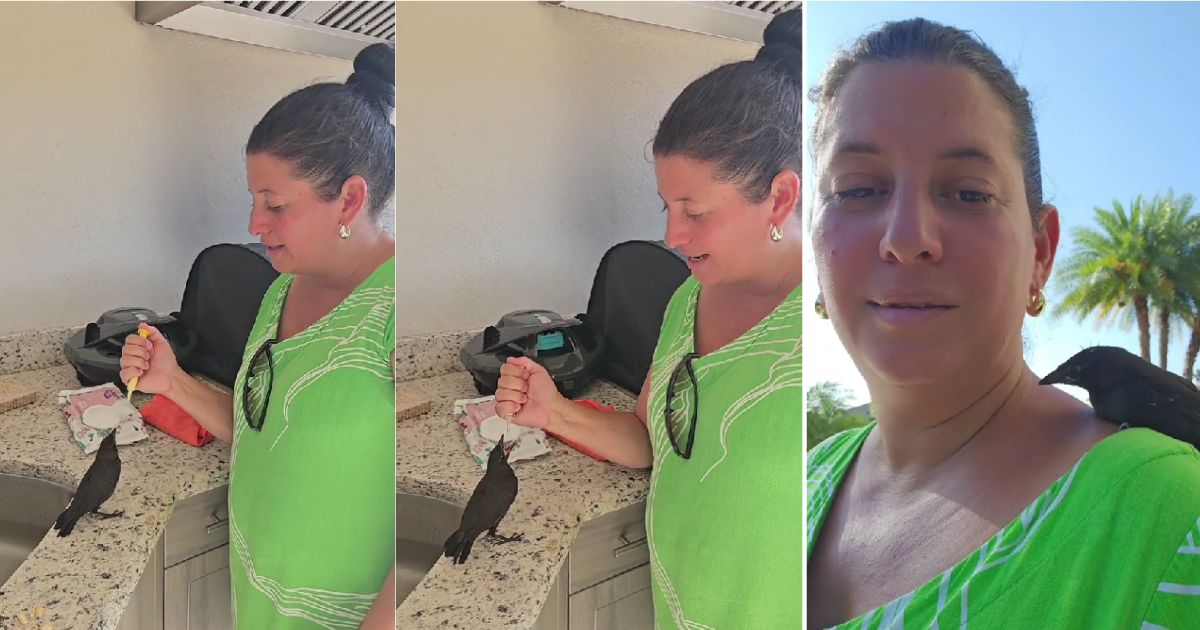Cubana rescata a un totí y el ave la adopta como su familia