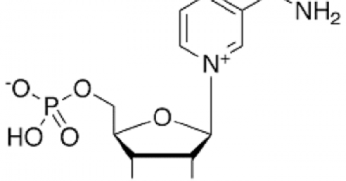 mononucleótido de nicotinamida (NMN) © Imagen: Wikipedia