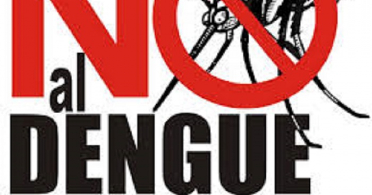 Dengue © Eliminan el dengue dos municipos de provincia Pinar del Río