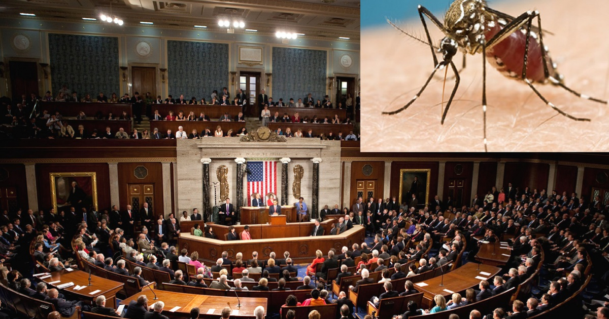 Congreso norteamericano sin fondos para Zika © Search Creative Commons