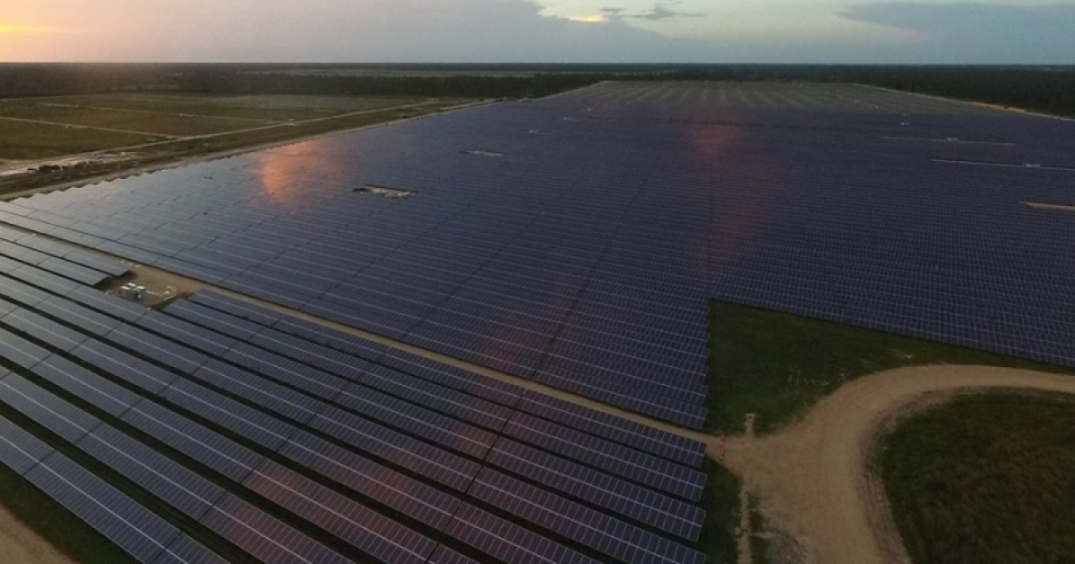 Paneles-solares-de-la-primera-ciudad-solar-de-EEUU © Babcock Ranch/ Facebook