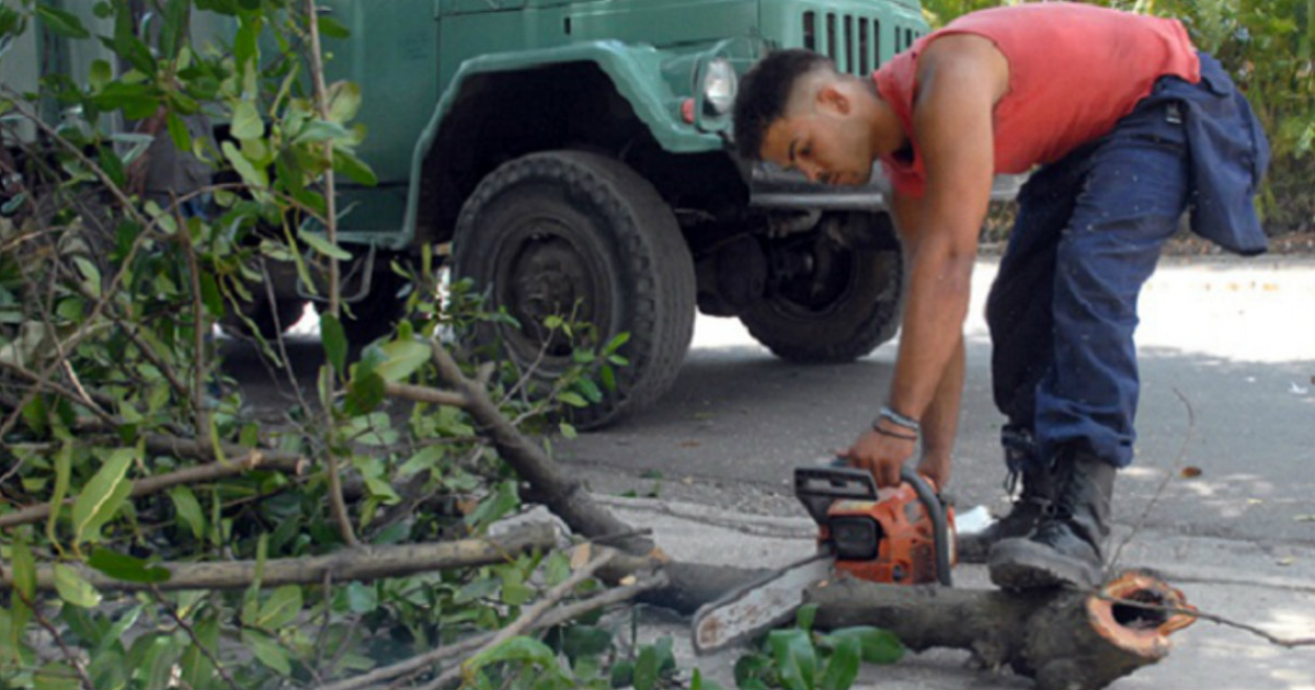 Poda de árboles en Cuba © Radiorebelde