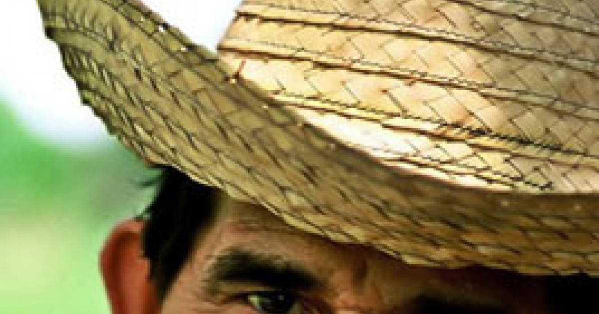 Does Not Apply Sombreros Para Hombre Mujer De Paja Estilo CUBA India