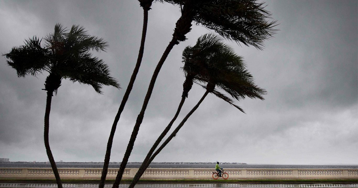 huracán Irma en Tampa © tn.com.ar