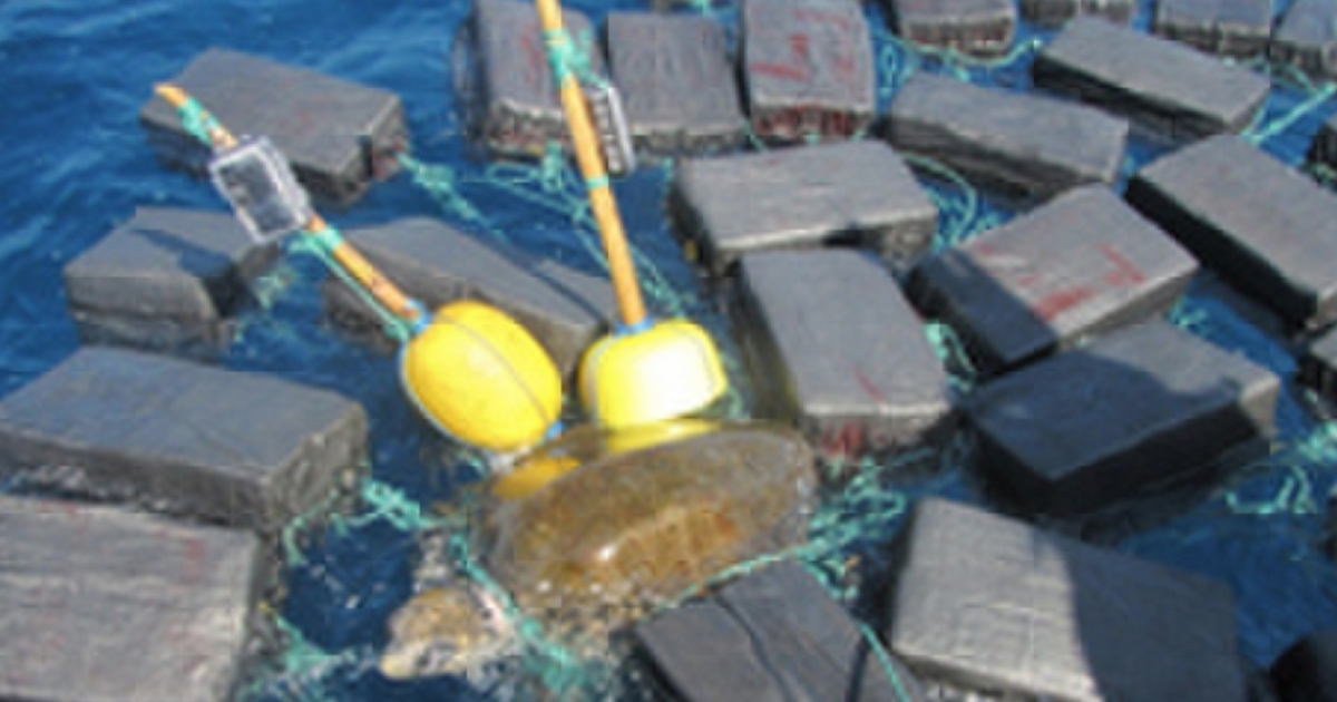 Tortuga entre cocaína © US Coast Guarda