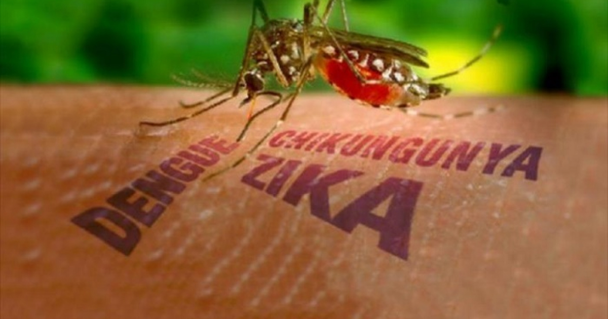 Zika, dengue y Chikingunya © joseppamies.wordpress.com