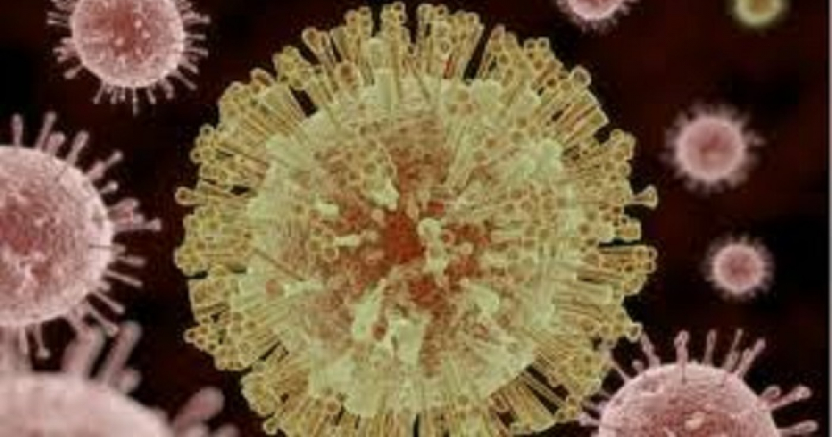 Virus Zika © Detectado virus de zika en el semen de un hombre, 93 días después de haber padecido la enfermedad 