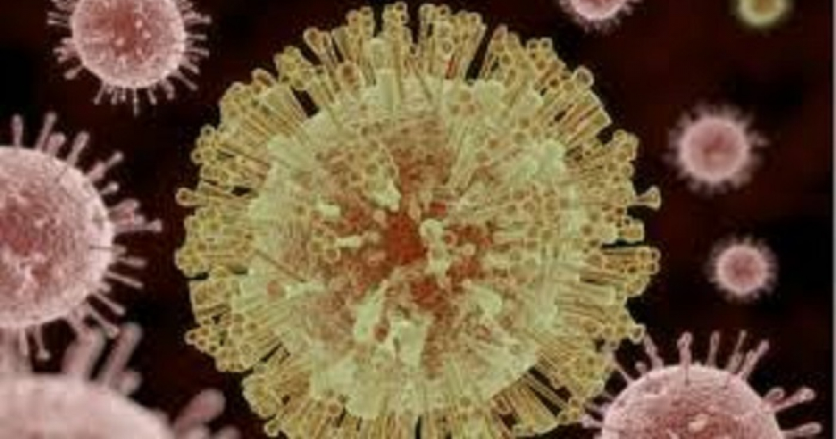 Virus Zika © Imagen: Internet
